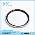 Gsf Series PTFE Hydraulic Seals Piston Seal